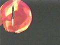 Queen.of.Blood.TVRip.1966.Xvid.by.Lost.Johnny[(050010)14-53-13].JPG